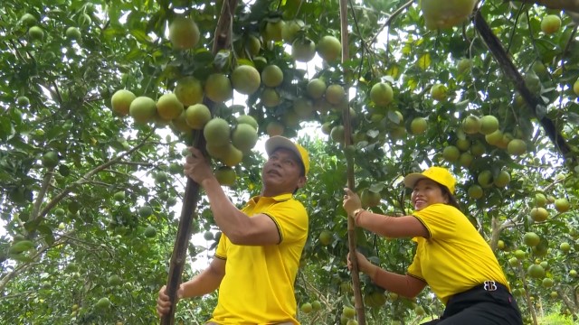 Đức Thọ: Nông thôn mới - kỳ vọng mới trong năm 2022